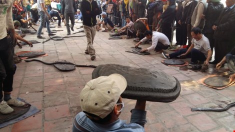 Pháo đất, môn quyền đặc biệt của nông dân Tiên Lãng - 4