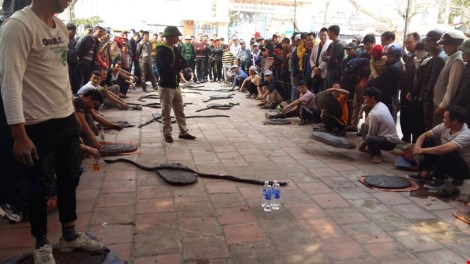 Pháo đất, môn quyền đặc biệt của nông dân Tiên Lãng - 6