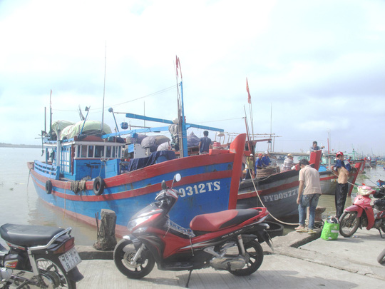 Tư thương ép giá cá ngừ đại dương - 2
