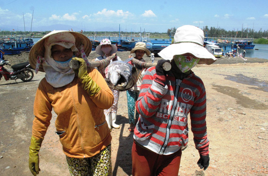 Tư thương ép giá cá ngừ đại dương - 4