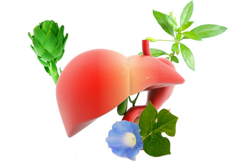 Nhật ký lá gan những ngày “nghỉ” Tết - 1