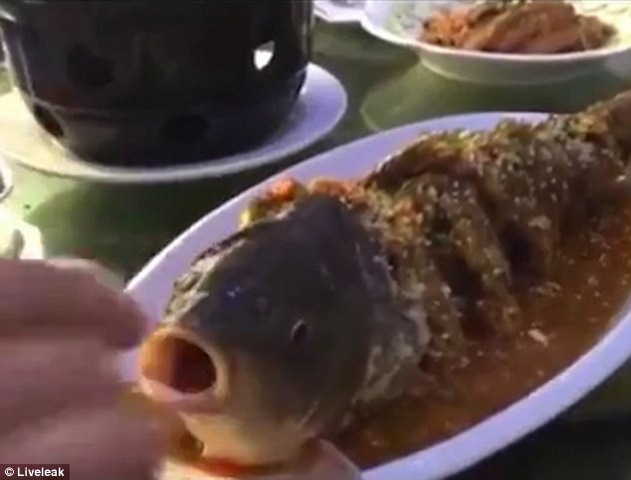 TQ: Cá trên đĩa sống dậy khi đổ rượu vào miệng - 1