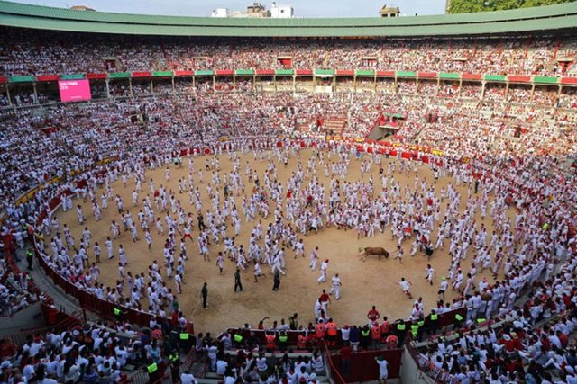 Vì sao Tây Ban Nha không cấm lễ hội bò tót "dã man"? - 5