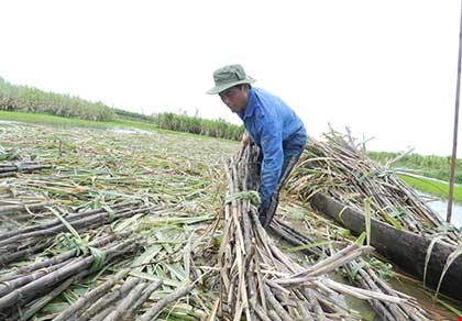 Đường Thái "giết chết" đường Việt - 1