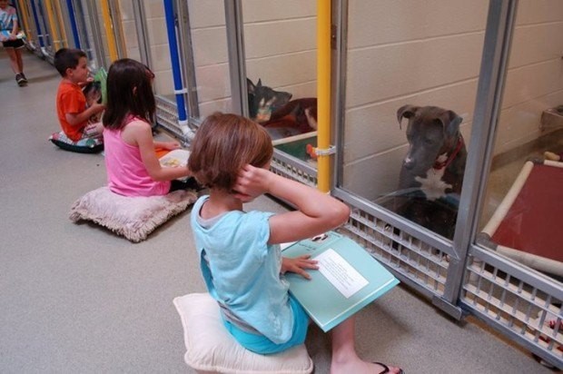 Mỹ: Trẻ em thích đọc sách cho chó - 1