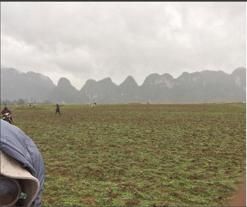 Người dân Quảng Bình vây quanh phim trường &#34;King Kong 2&#34; - 1