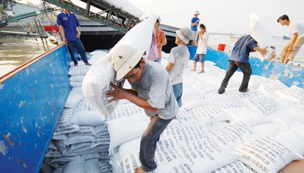 Xuất khẩu gạo 2016: Ngậm ngùi không có thương hiệu Việt - 1