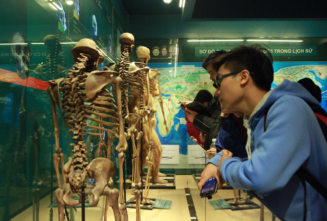 Xem lịch sử sự sống qua 3,6 tỷ năm ở Bảo tàng Thiên nhiên - 8