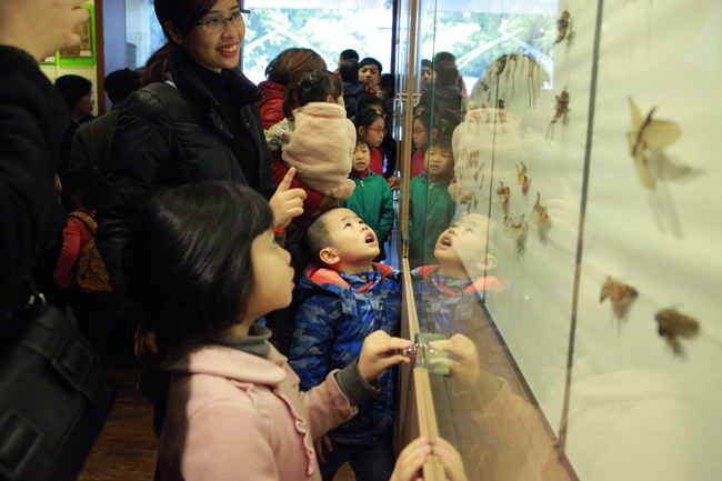 Xem lịch sử sự sống qua 3,6 tỷ năm ở Bảo tàng Thiên nhiên - 7