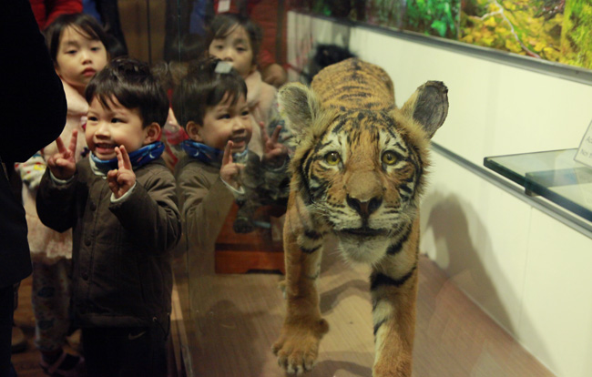 Xem lịch sử sự sống qua 3,6 tỷ năm ở Bảo tàng Thiên nhiên - 11