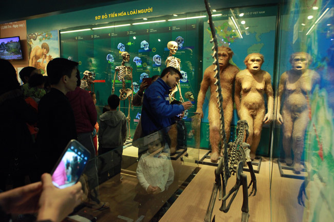 Xem lịch sử sự sống qua 3,6 tỷ năm ở Bảo tàng Thiên nhiên - 9