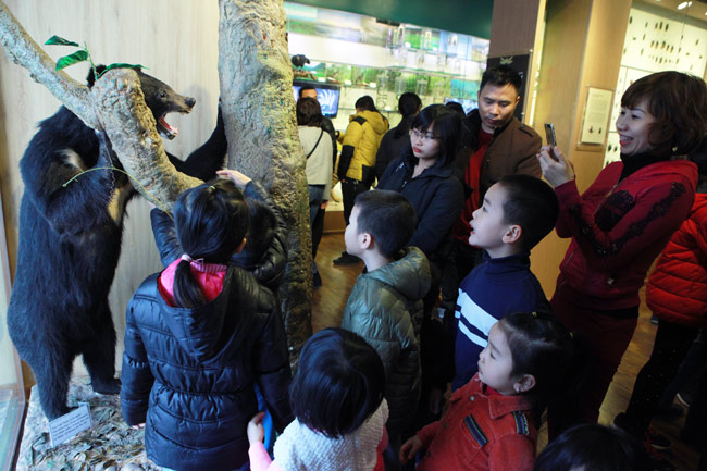 Xem lịch sử sự sống qua 3,6 tỷ năm ở Bảo tàng Thiên nhiên - 12