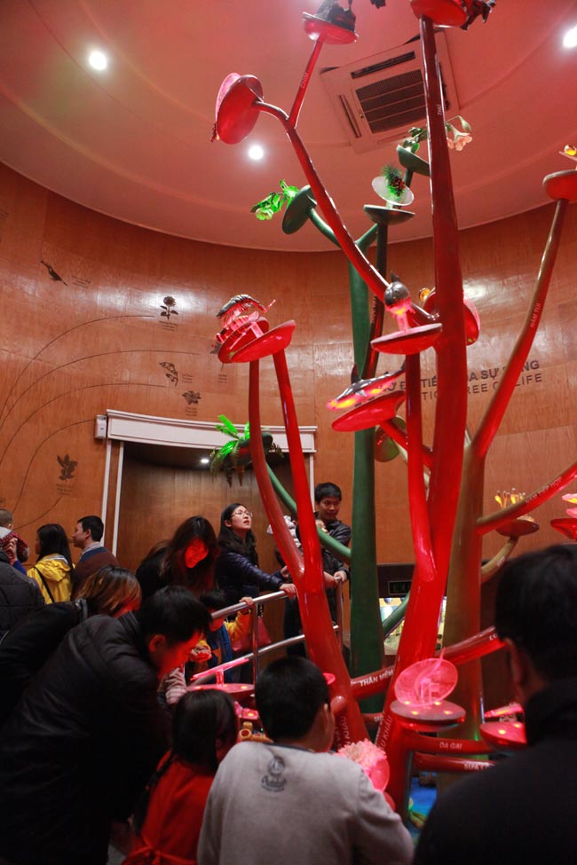 Xem lịch sử sự sống qua 3,6 tỷ năm ở Bảo tàng Thiên nhiên - 3