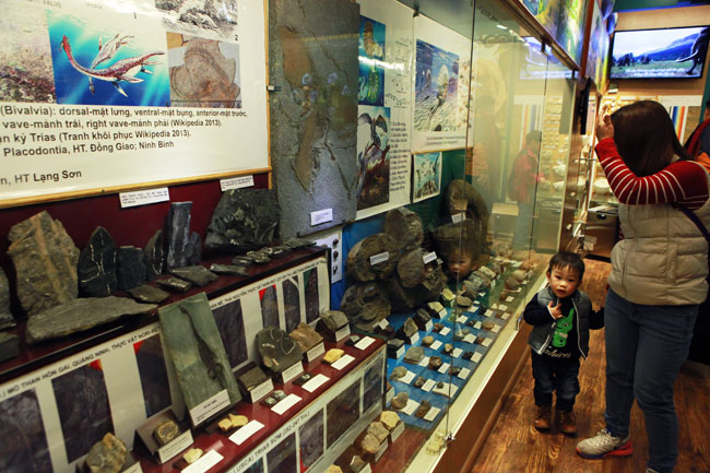 Xem lịch sử sự sống qua 3,6 tỷ năm ở Bảo tàng Thiên nhiên - 5