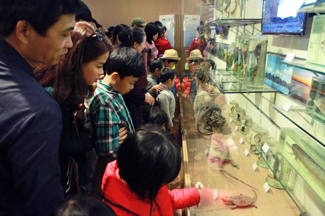 Xem lịch sử sự sống qua 3,6 tỷ năm ở Bảo tàng Thiên nhiên - 4