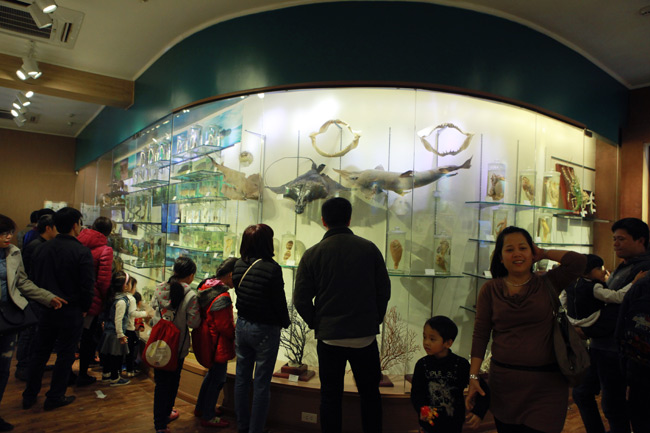 Xem lịch sử sự sống qua 3,6 tỷ năm ở Bảo tàng Thiên nhiên - 5