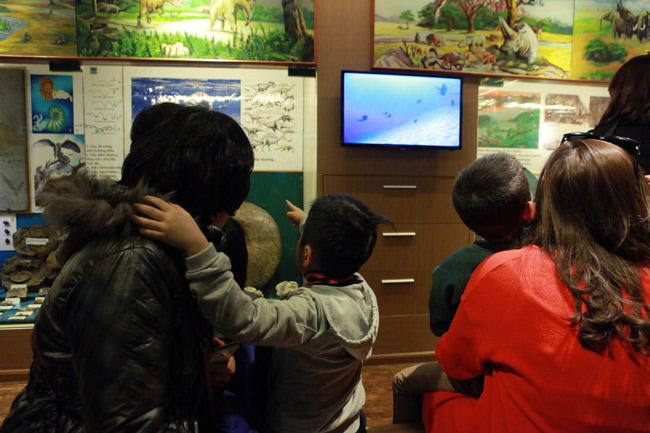 Xem lịch sử sự sống qua 3,6 tỷ năm ở Bảo tàng Thiên nhiên - 4