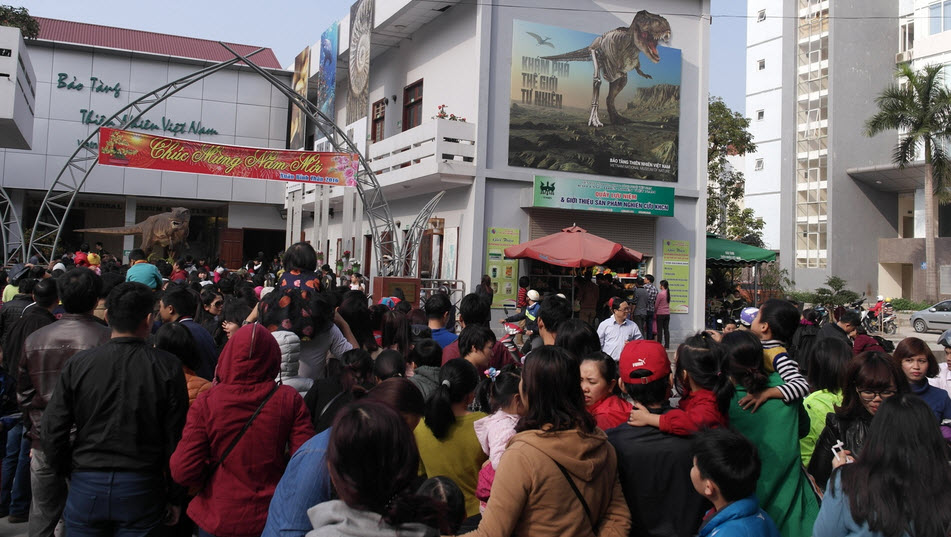 Bảo tàng Thiên nhiên quá tải vì dân đến xem cụ rùa - 1