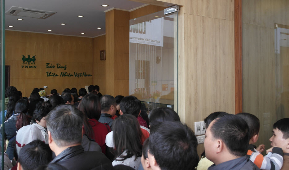 Bảo tàng Thiên nhiên quá tải vì dân đến xem cụ rùa - 3