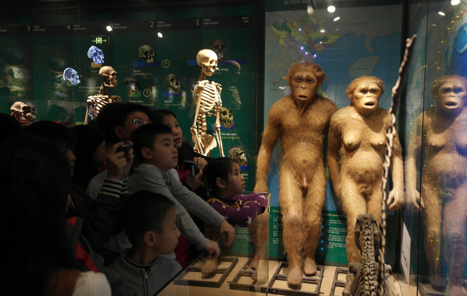 Bảo tàng Thiên nhiên quá tải vì dân đến xem cụ rùa - 7