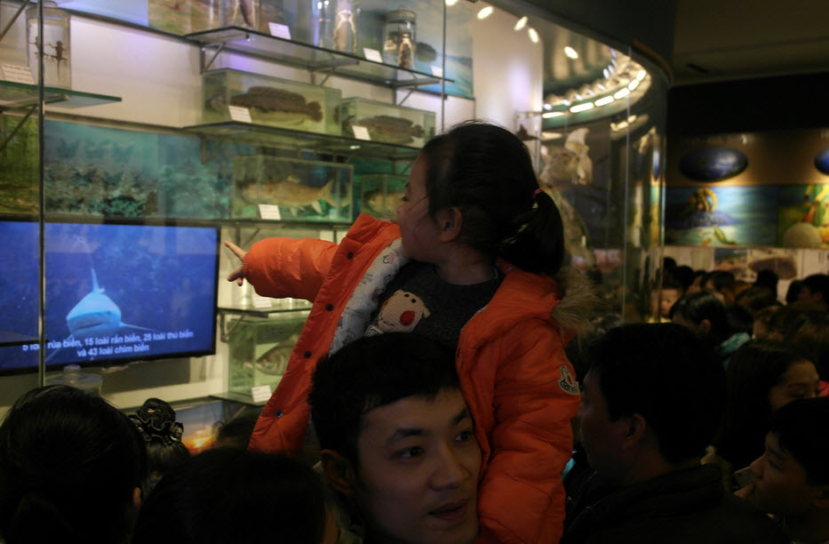 Bảo tàng Thiên nhiên quá tải vì dân đến xem cụ rùa - 4
