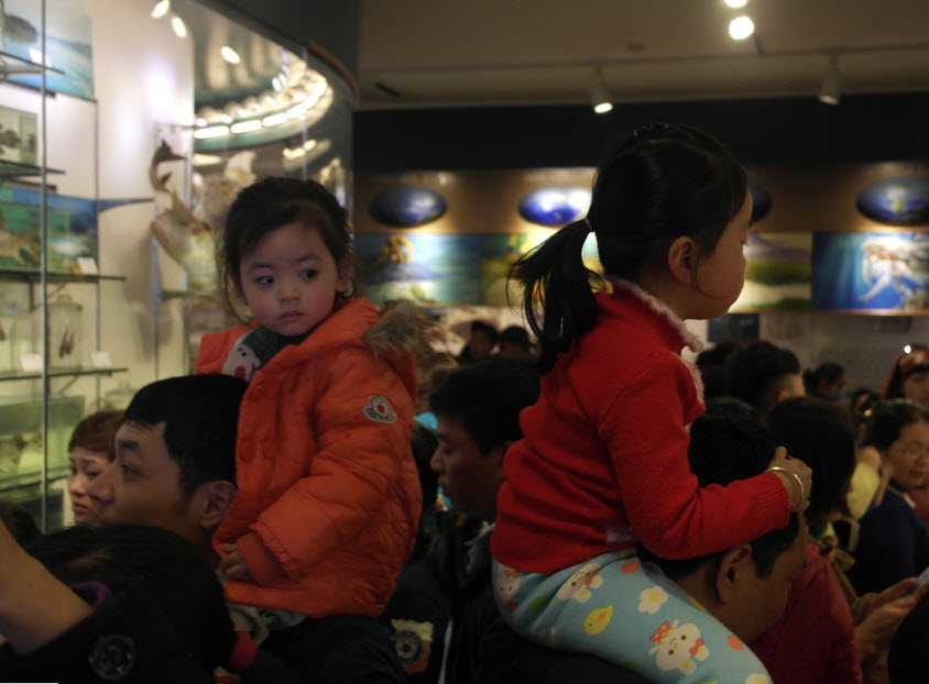 Bảo tàng Thiên nhiên quá tải vì dân đến xem cụ rùa - 5