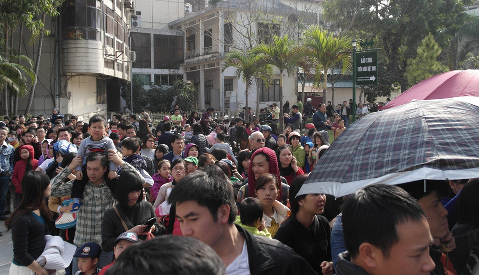 Bảo tàng Thiên nhiên quá tải vì dân đến xem cụ rùa - 2