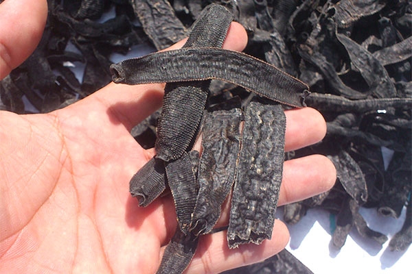 Thương lái Trung Quốc mua cau non, đỉa khô là tin đồn - 2