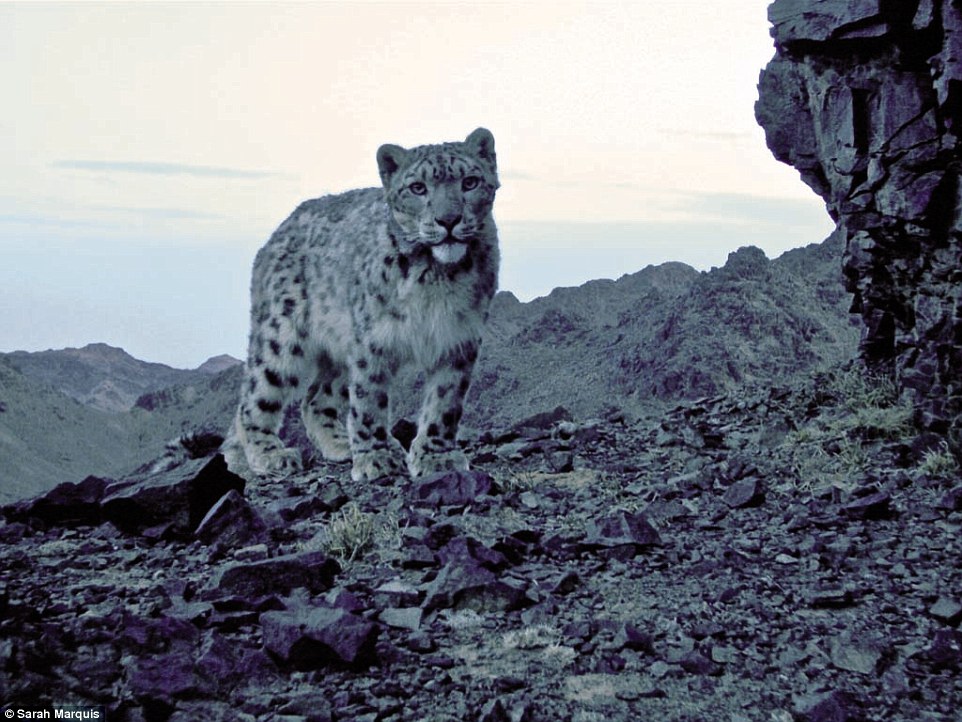 Hành trình ly kỳ của nữ phượt thủ đi bộ khắp thế gian - 5