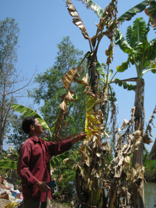 4 ngày, ngôi nhà tự bốc cháy gần 40 lần - 3