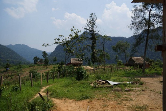 Vụ kiểm lâm bị tấn công: Chủ mưu là nhóm người sống bằng nghề bẫy thú - 2