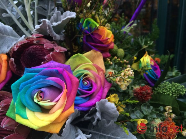 Đại gia chơi sang: 20 triệu đồng một bình hoa nhập làm quà tặng 8/3 - 5