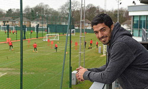 Rảnh rỗi, Suarez bất ngờ quay lại “nhà cũ” Liverpool - 1