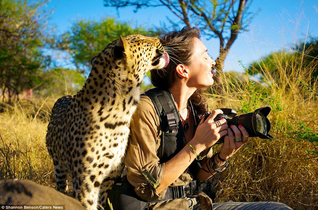 Với niềm đam mê đặc biệt với những loài động vật hoang dã, nữ nhiếp ảnh gia Shannon đã dành hơn một năm để khám phá cuộc sống của chúng tại các vườn quốc gia ở Nam Phi.