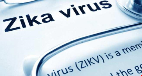 Virus Zika có thể gây viêm tủy dẫn đến liệt? - 1