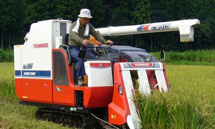 Nhật Bản: Gom đất nông nghiệp bỏ hoang vào ngân hàng - 1