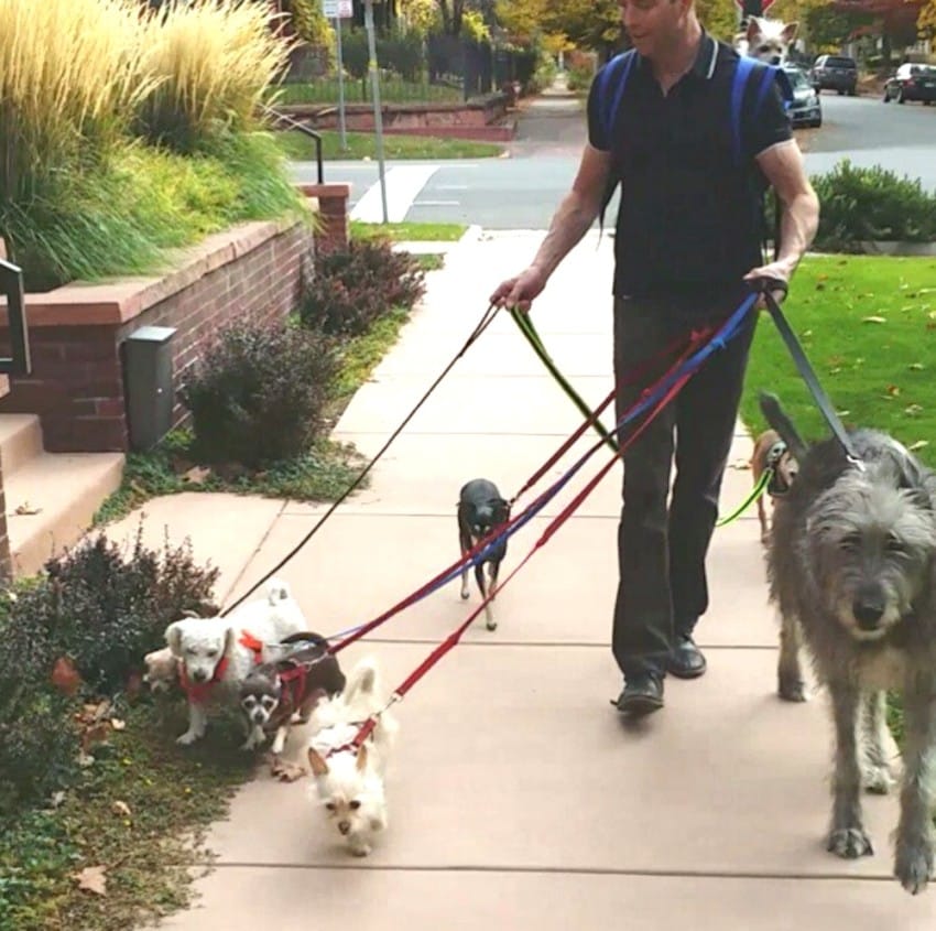 Người đàn ông Mỹ cưu mang cả đàn thú nuôi trong nhà - 5