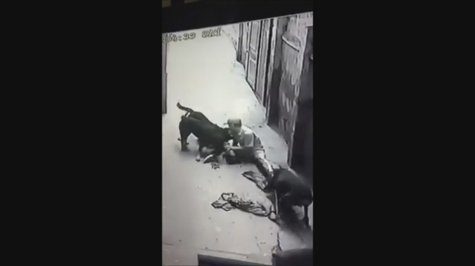 Video: Đàn chó dữ "làm phản", lao vào cắn xé chủ nhân - 1