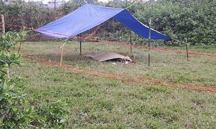 Sát hại hàng xóm vì câu nói vu vơ - 1