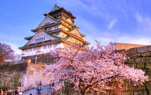 Chiêm ngưỡng vẻ đẹp mùa hoa anh đào tại miền Trung Nhật Bản - 1