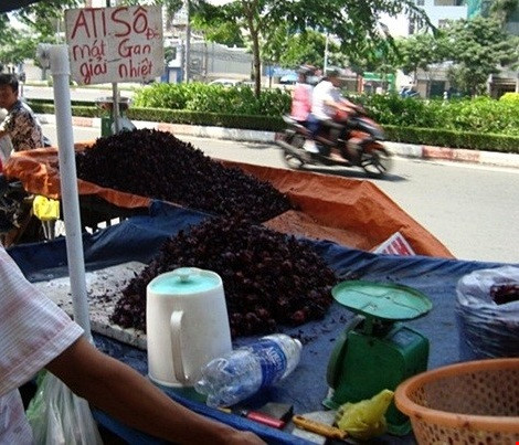 "Thần dược" atiso đỏ có trị được bách bệnh? - 1