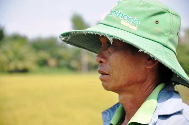 Ảnh: Ruộng nứt toác, mặn chát, lòng dạ như bị xát muối - 11