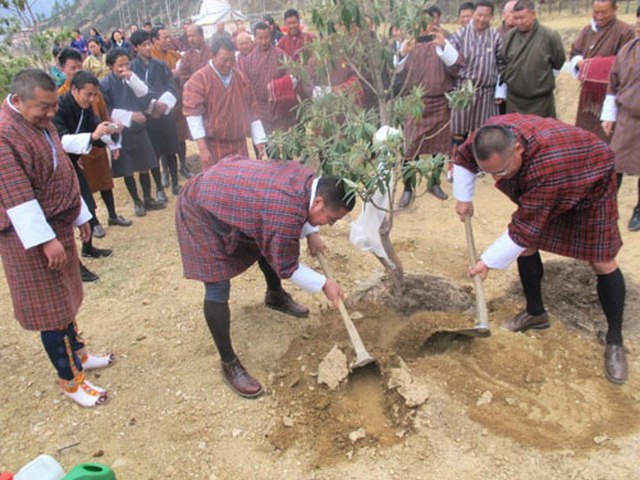 Hoàng tử mới sinh, dân Bhutan trồng 10 vạn cây ăn mừng - 2