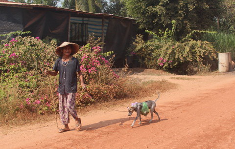 Cụ bà 80 tuổi luyện chó đi giao hàng - 3