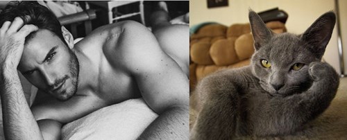 Bộ ảnh so sánh đàn ông và mèo siêu dễ thương - 1