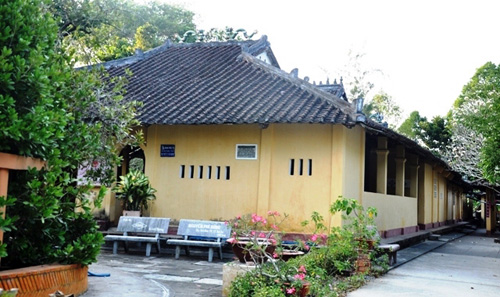 Ngắm “Lão Bạch mai” 300 tuổi ở miền Tây - 13