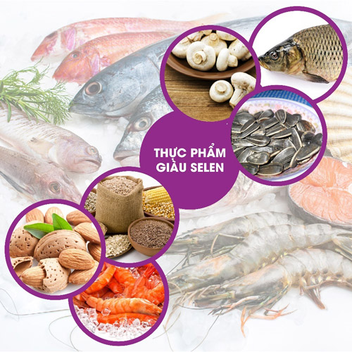Bổ sung Kẽm & Selen – Hai vi chất thiết yếu cho sự phát triển của trẻ - 2