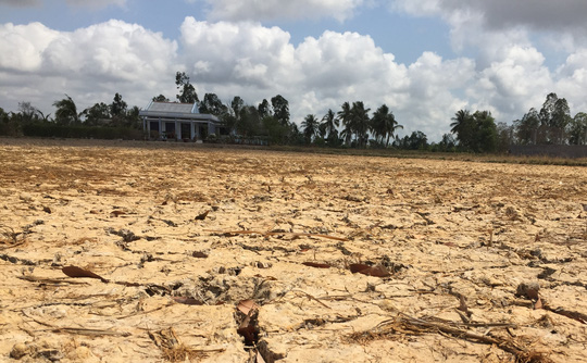 Nhà báo Nhật thị sát hạn mặn ở ĐBSCL - 3