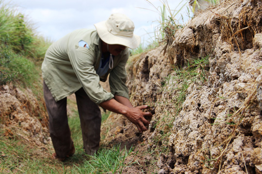 Nhà báo Nhật thị sát hạn mặn ở ĐBSCL - 5