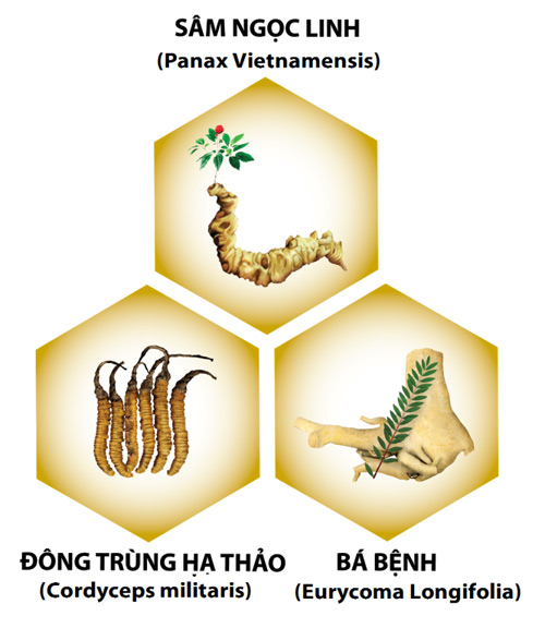 Công thức nào giúp tăng sinh lực, sinh lý nam bền vững? - 2